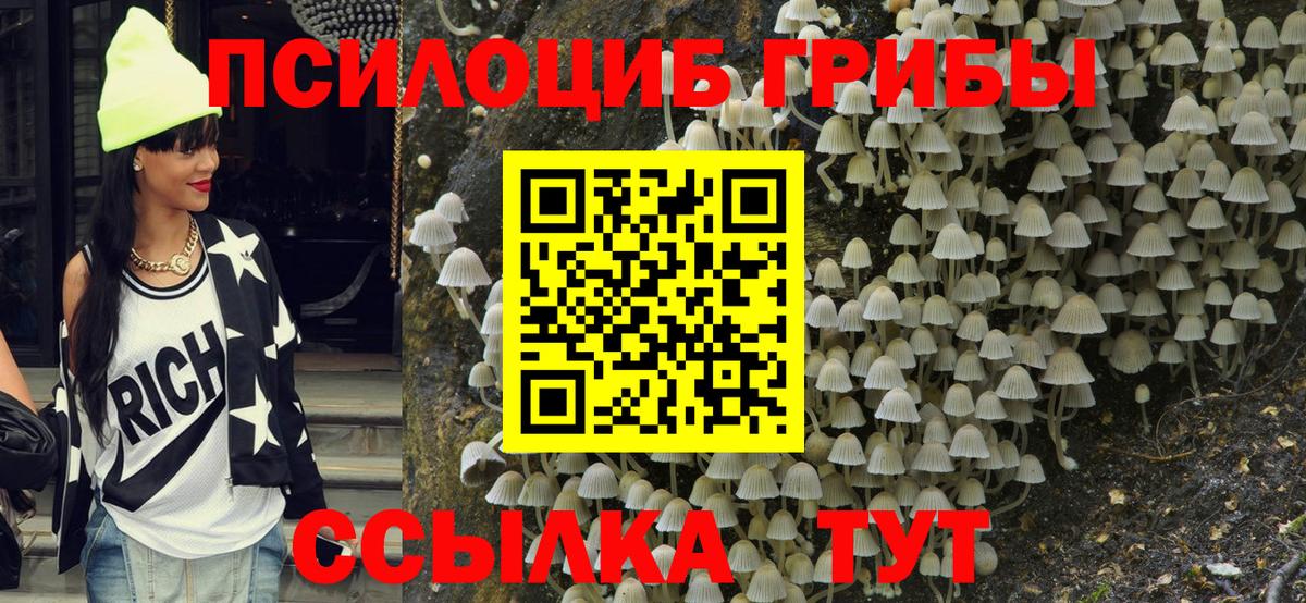 Галлюциногенные грибы Cubensis Зеленодольск