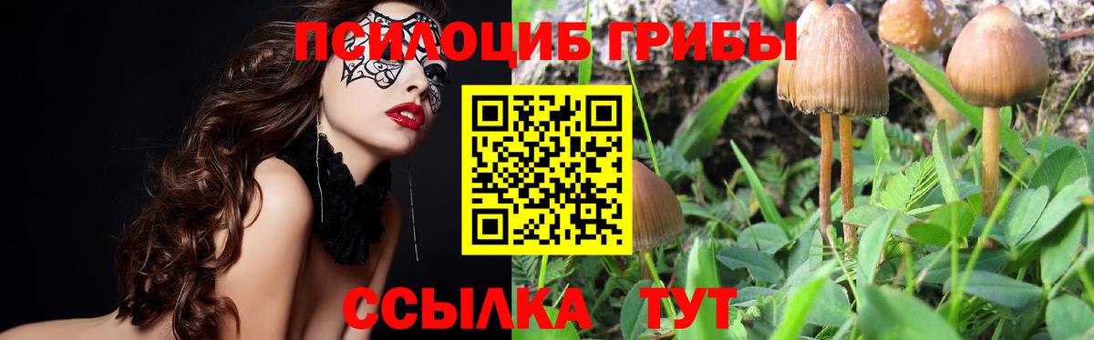 Псилоцибиновые грибы прущие грибы  Вход с VPN  Галлюциногенные грибы мицелий  Зеленодольск 